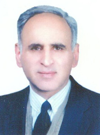 رسانه جدید