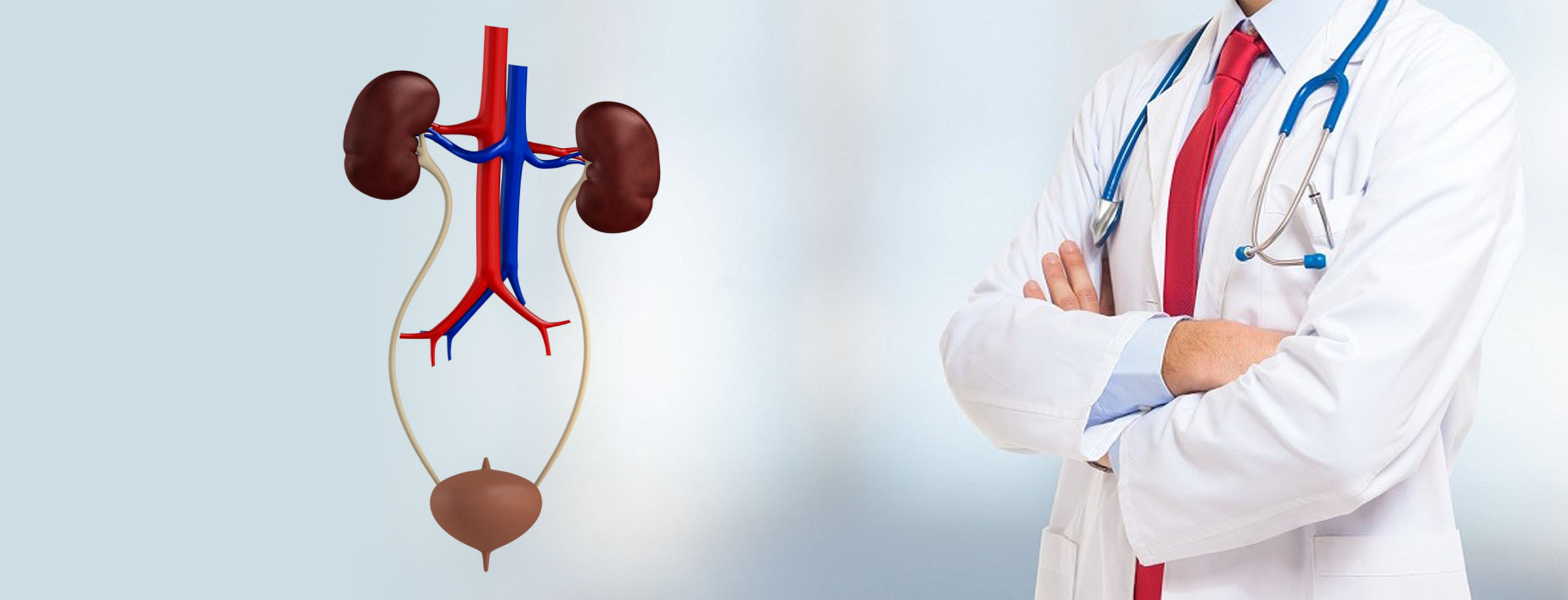 کلیه و مجاری ادراری (اورولوژی)